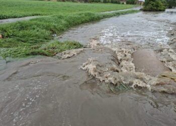 تدفق مياه الأمطار المختلطة بواد الصرف الصحي يؤرق ساكنة دوار ضواحي برشيد