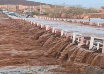 يوعابد: هطول الأمطار بأرجاء المملكة أنهى نصف شتاء من العجز في التساقطات