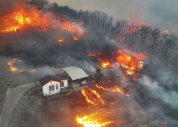 حرائق الغابات تخرج عن السيطرة في كوريا الجنوبية
