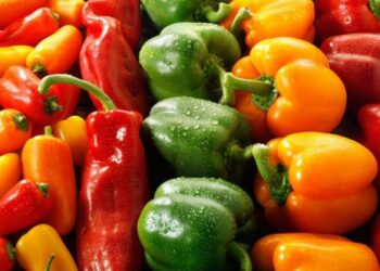 بسبب مبيد خطير.. “أونسا” يعلق ترخيص وحدة لتسويق الفلفل ويمنع تسويق منتجاتها