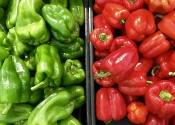 ألمانيا تقرر سحب شحنة فلفل مغربي لاحتوائها على مبيدات “خطيرة”