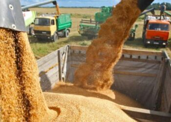 300 ألف طن من القمح الكازاخستاني تستعد لدخول المغرب