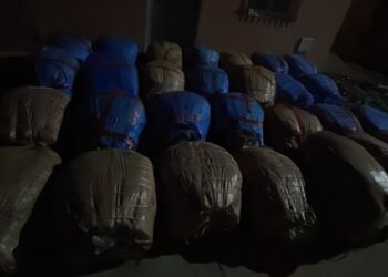 حجز مخدرات وبندقية وخراطيش بآسفي