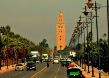 نشرة إنذارية.. موجة حر مرتقبة بعدد من مناطق المملكة