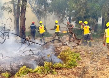 السيطرة بنسبة 98% على حريق غابة هوارة بطنجة