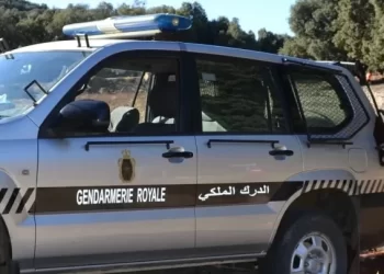 الدرك يضبط كمية من اللحوم لا تتوفر على ترخيص داخل شاحنة بمراكش