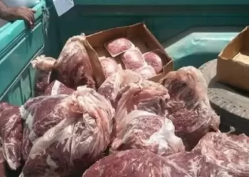 كانت موجهة للمراكشيين.. حجز أزيد من 800 كيلوغرام من اللحوم مجهولة المصدر