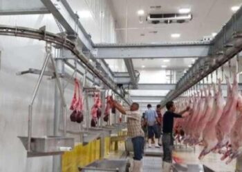 رغم الغاء شعيرة الذبح.. مجازر الدار البيضاء تكشف برنامجها لاستقبال وذبح الأضاحي
