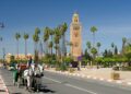 ائتلاف مغربي-صيني يتصدر المنافسة لتوريد حافلات جديدة لمراكش وأكادير وطنجة
