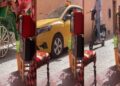 من الكوتشي للتروتينت.. مقطع ڤيديو لتنوع وسائل المواصلات يُظهر جمال مراكش