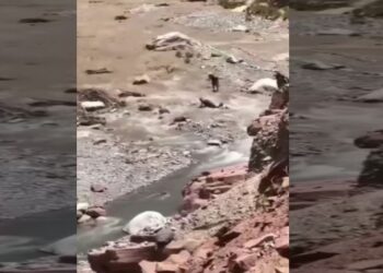 بالڤيديو.. شاهد كيف جرفت مياه الوادي مواطنين بتيغدوين بعد انهيار مسبح عشوائي