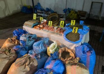 منها 1330 “جوان واجد”.. توقيف شخصين بحوزتهما كمية مهمة من المخدرات