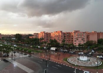 نشرة إنذارية.. موجة حر وأمطار رعدية وبرد بعدد من مناطق المملكة