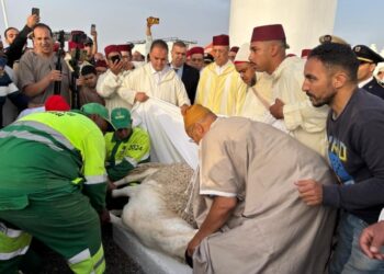حصري.. ماشي غير الوالي .. “خروف العيد” يجر مسؤولين بمراكش للتحقيق