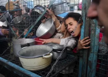 وفاة أكثر من 115 شخصاً بسبب المجاعة في القطاع