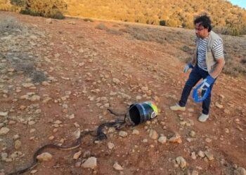 وكالة المياه والغابات تخرج عن صمتها بخصوص أفاعي مراكش