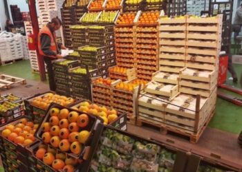 الاقتصاد المغربي يحقق نموا ملحوظا بفضل  الإنتاج الفلاحي