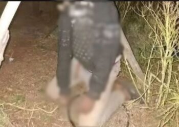 تطورات مثيرة في قضية الراعي بوسلخن.. إحالة الملف على قاضي التحقيق