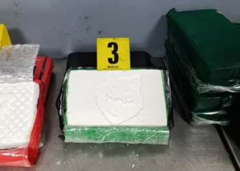 إحباط محاولة تهريب 52 كيلوغراما من الكوكايين عبر ميناء طنجة المتوسط