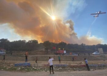 وكالة المياه والغابات تحذر من خطر اندلاع الحرائق الغابوية بهذه المناطق