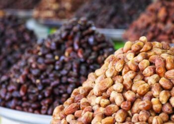 وزارة الفلاحة التونسية توضح أسباب استثناء المغرب من موسم تصدير التمور