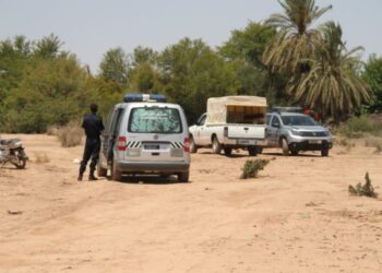 خطير.. قتل شاب ورمي جثته للكلاب