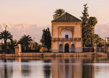 مراكش تحتضن الدورة الثانية لمنتدى أعمال منطقة التجارة الحرة القارية الإفريقية