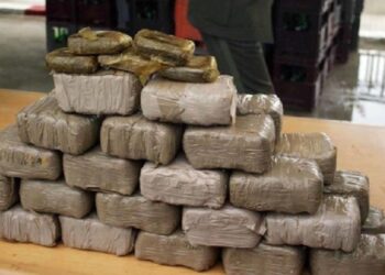 حجز طن من مخدر الشيرا داخل جمعية لذوي الإعاقة