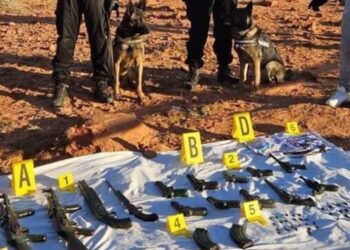 توزيع 151 سنة سجنا على عناصر خلية “أسود الخلافة”