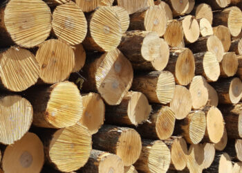 المغرب يفتح تحقيقا حول واردات الألواح الخشبية الصينية والإندونيسية