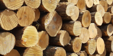 المغرب يفتح تحقيقا حول واردات الألواح الخشبية الصينية والإندونيسية