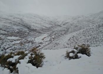 الأرصاد الجوية تنذر بتساقطات ثلجية مرتقبة بعدد من مناطق المملكة