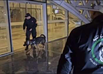 الشرطة المغربية تتقاسم خبراتها مع نظيرتها المالية