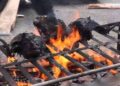 شيّ رؤوس أضاحي العيد.. فرصة مؤقتة لشباب مراكش لمحاربة البطالة