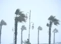 الأرصاد تنذر بتسجيل رياح قوية وتساقطات ثلجية بعدة مناطق مغربية