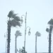 الأرصاد تنذر بتسجيل رياح قوية وتساقطات ثلجية بعدة مناطق مغربية