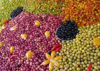 إخطار صحي أوروبي بشأن شحنة زيتون مغربي ملوثة بالرصاص