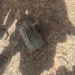 الاتحاد الأوروبي يدين هجوم البوليساريو على السمارة