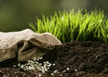 أميركا تراجع الرسوم المفروضة على الأسمدة المغربية