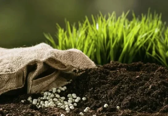 أميركا تراجع الرسوم المفروضة على الأسمدة المغربية