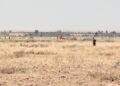 عاجل.. سقوط طائرة خفيفة بجماعة اغواطيم باقليم الحوز