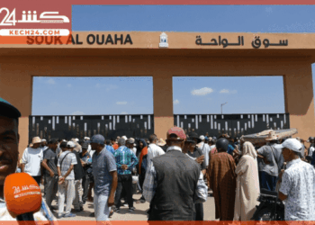 بالڤيديو: بعد ترحيل جوطية باب الخميس.. اتهامات بالمحسوبية تربك عملية توزيع المحلات بالسوق الجديد