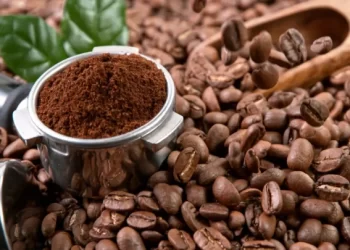 القهوة الفاخرة في خطر بسبب أمطار البرازيل