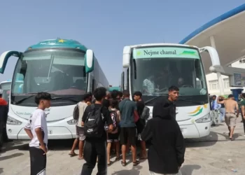 ارتفاع حصيلة ضحايا موجة “الحريگ” إلى 71 قتيـ ـلا
