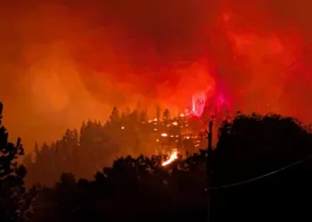 إعلان حالة الطوارئ في مقاطعة كولومبيا البريطانية بسبب حرائق الغابات في كندا
