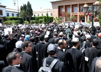 إضراب المحامين.. حماة المستهلك يدعون إلى السماح للمتقاضين بالدفاع عن أنفسهم