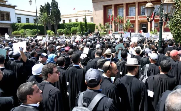 إضراب المحامين.. حماة المستهلك يدعون إلى السماح للمتقاضين بالدفاع عن أنفسهم