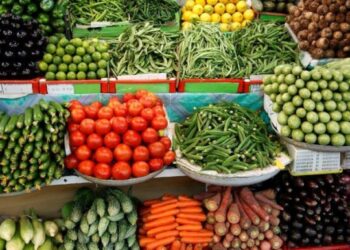 المغرب وفرنسا يتنافسان على سوق الخضر الإسبانية