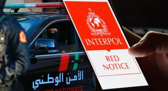أكادير.. توقيف سويدي موضوع نشرة حمراء صادرة عن الأنتربول