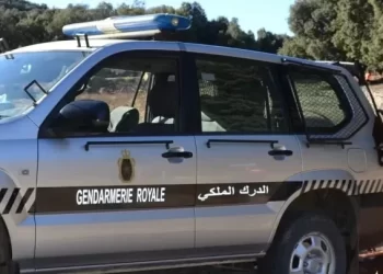 درك مولاي يعقوب يوقف مبحوثا عنه وفتاة مختفية في دورة مياه مسجد بـ”عين شقف”